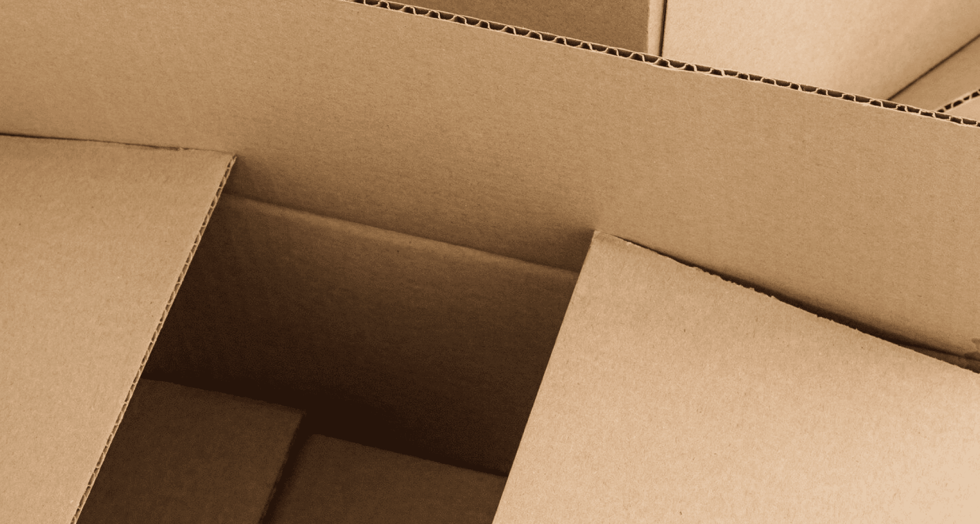 7. Encartonadora E15 - E35 - Cajas Armadas.png